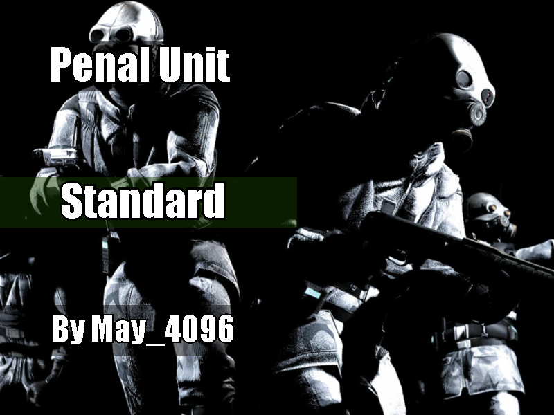 Combine Penal Unit （Standard）