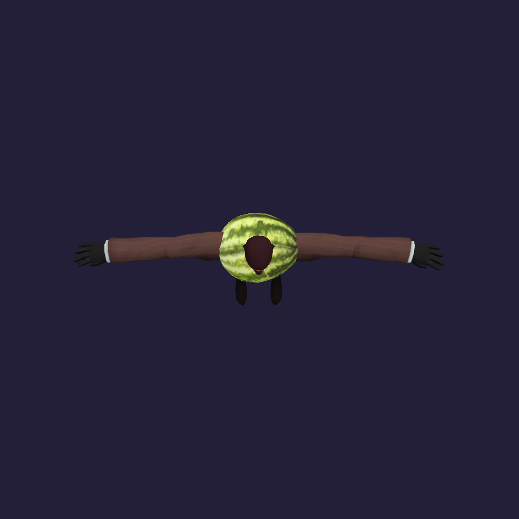 Spy Melon - Straight Top