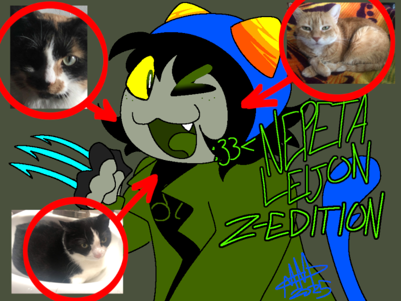 ˸33≺ LP Nepeta Lejion Z Edition