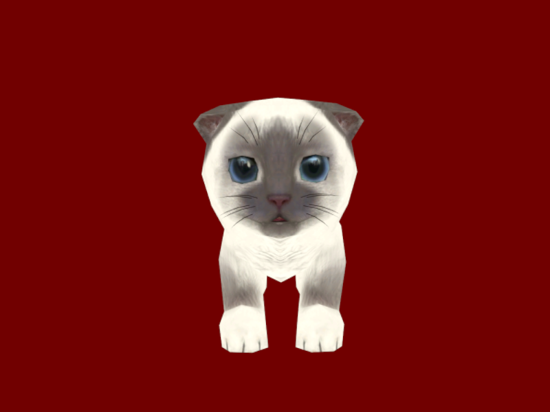 Crumbs The Cat
