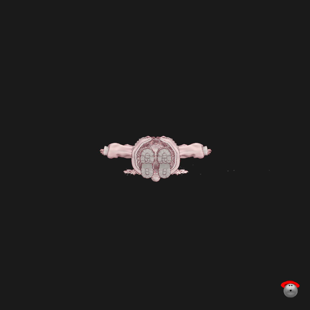 Cotton Candy［NOFT］ - Straight Bottom
