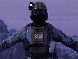 Frontline SEAF Soldier
