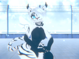 Lumi