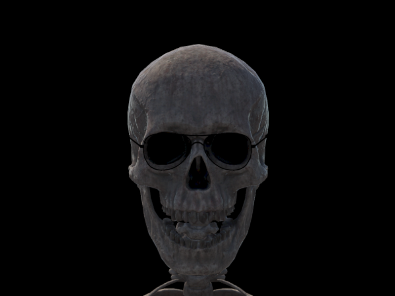 Skeleton
