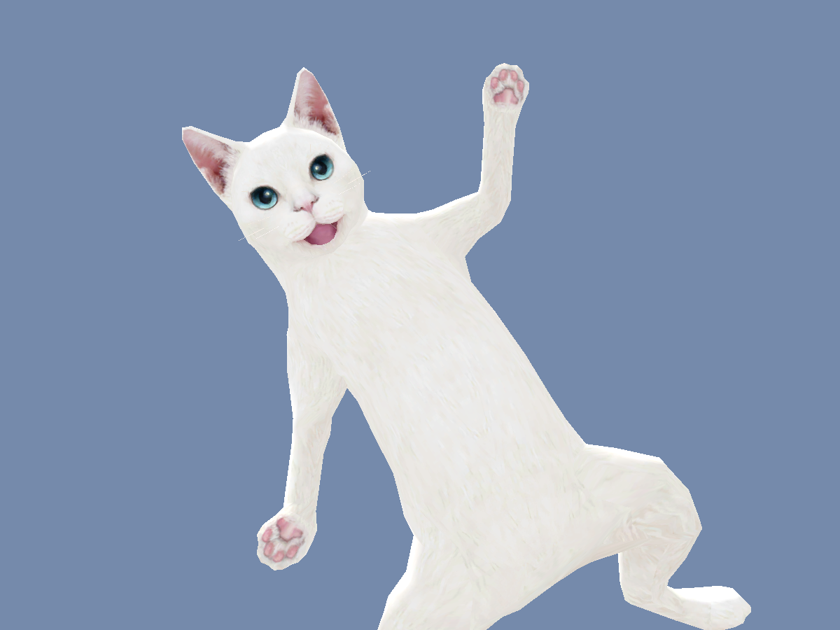 aDanza Cat