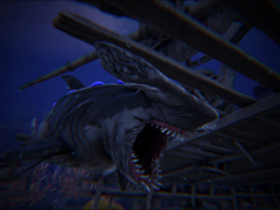 Shark
