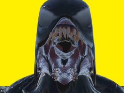VENOM-ZackOnVR