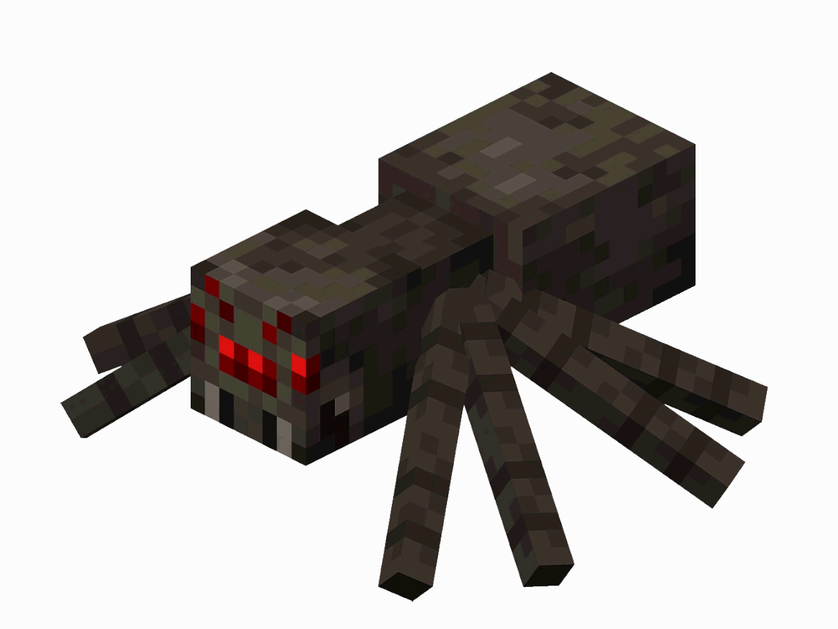 Spider