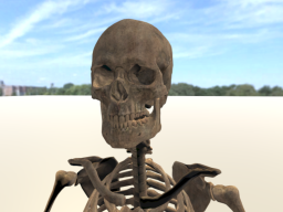 Skeleton - BONELAB