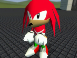 Knuckles The Echidna （Sonic R）