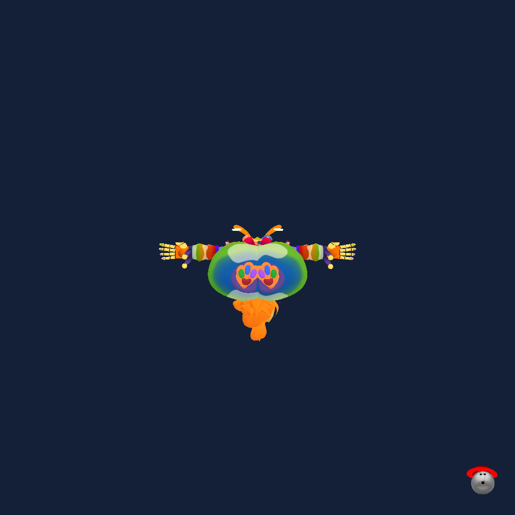 Wonderland sun - Straight Bottom