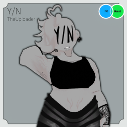 Y⁄N