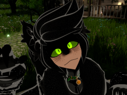 ~Fluffy Black Cat Alastor~