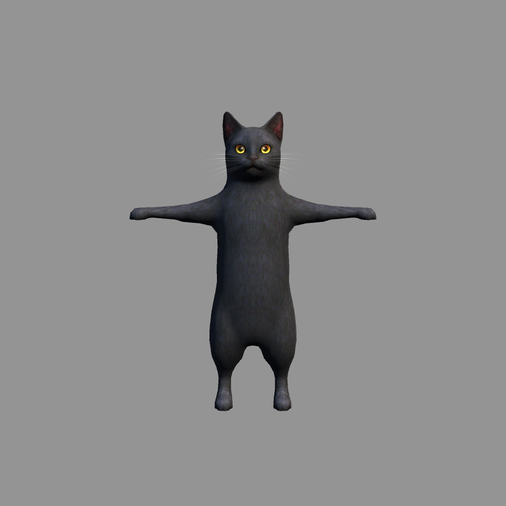 Funny Cats