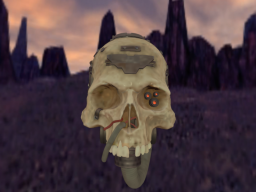 Servo Skull