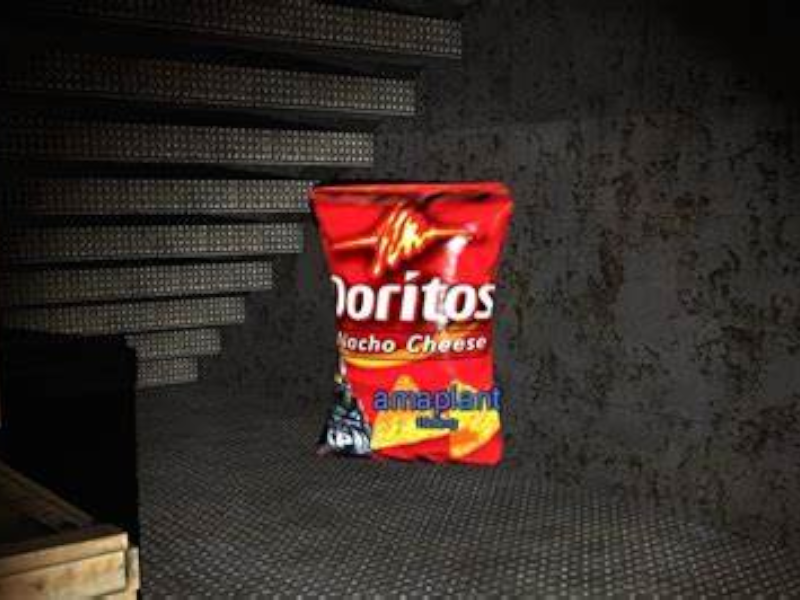 Dorito Bag