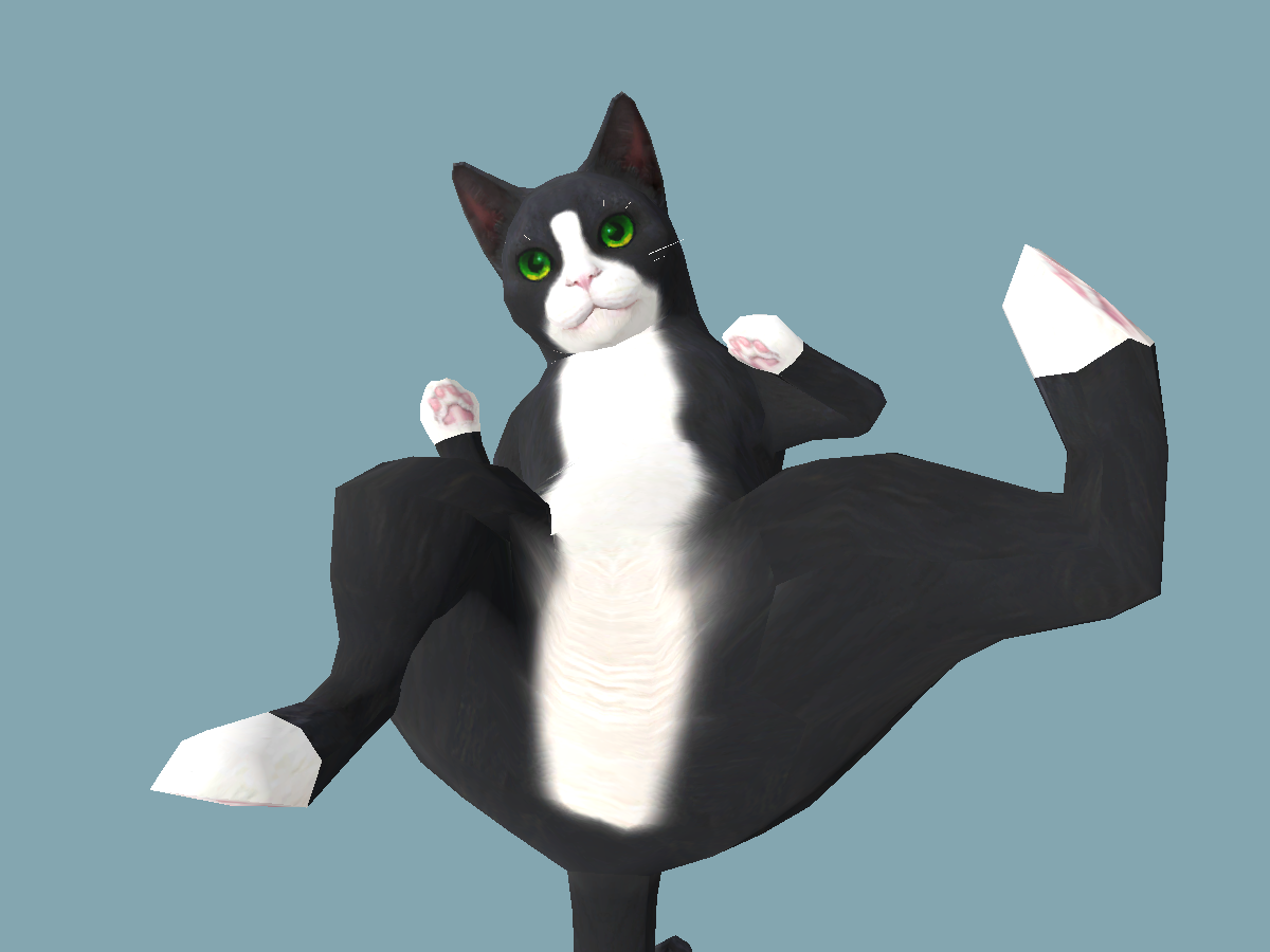 aDanza Cat Black ＆ White