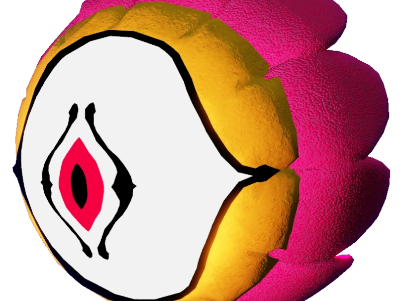 Carnation PNG