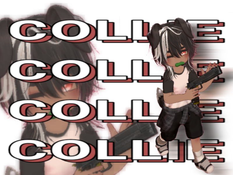 Collie