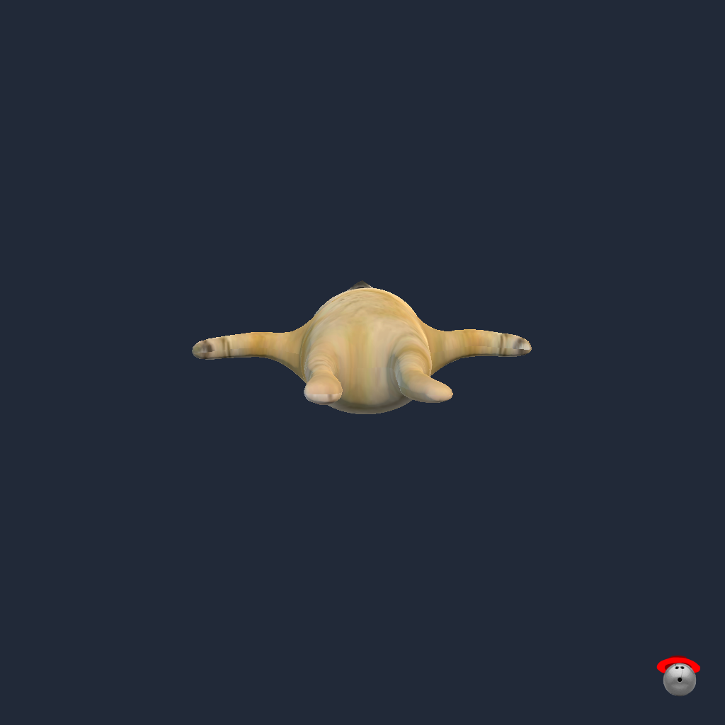 Doge - Straight Bottom