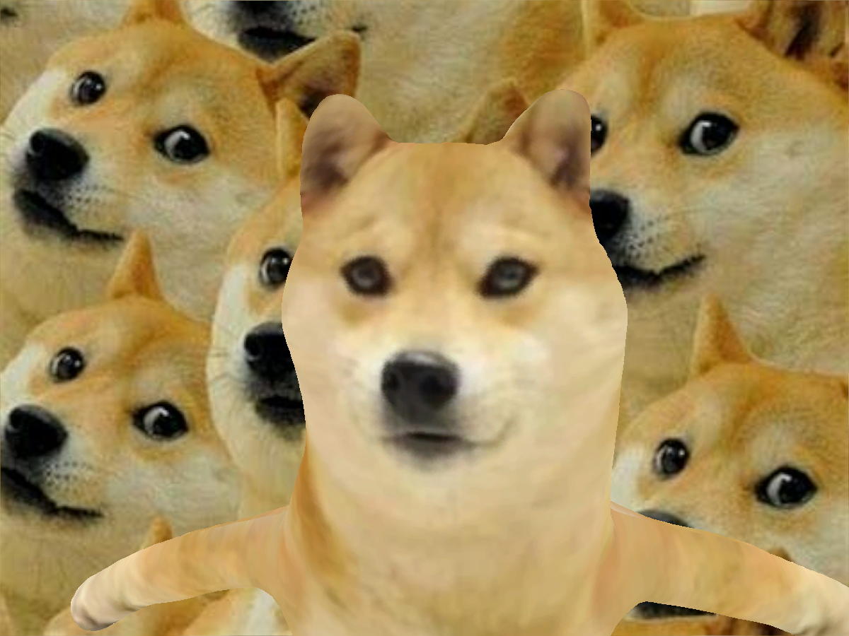 Doge