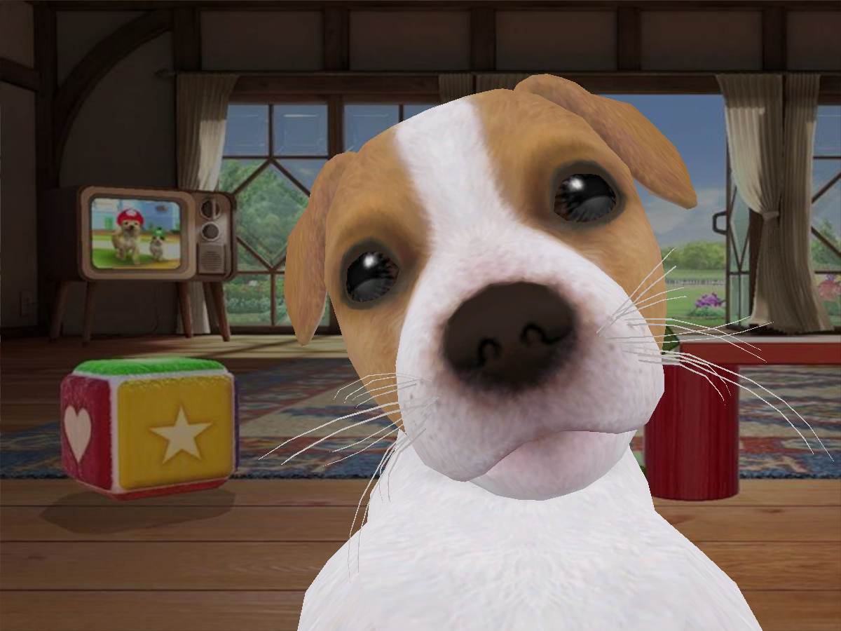 Jack Russel Terrier - Nintendog