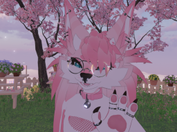 Amora ≺3
