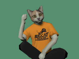 Gravity Cat