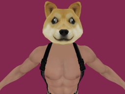 Eboy Doge