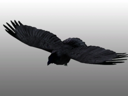 Bird ｜ Half-Life 2