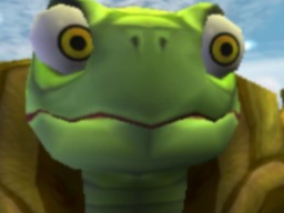 turtle