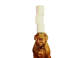 Toiletpaper Dog