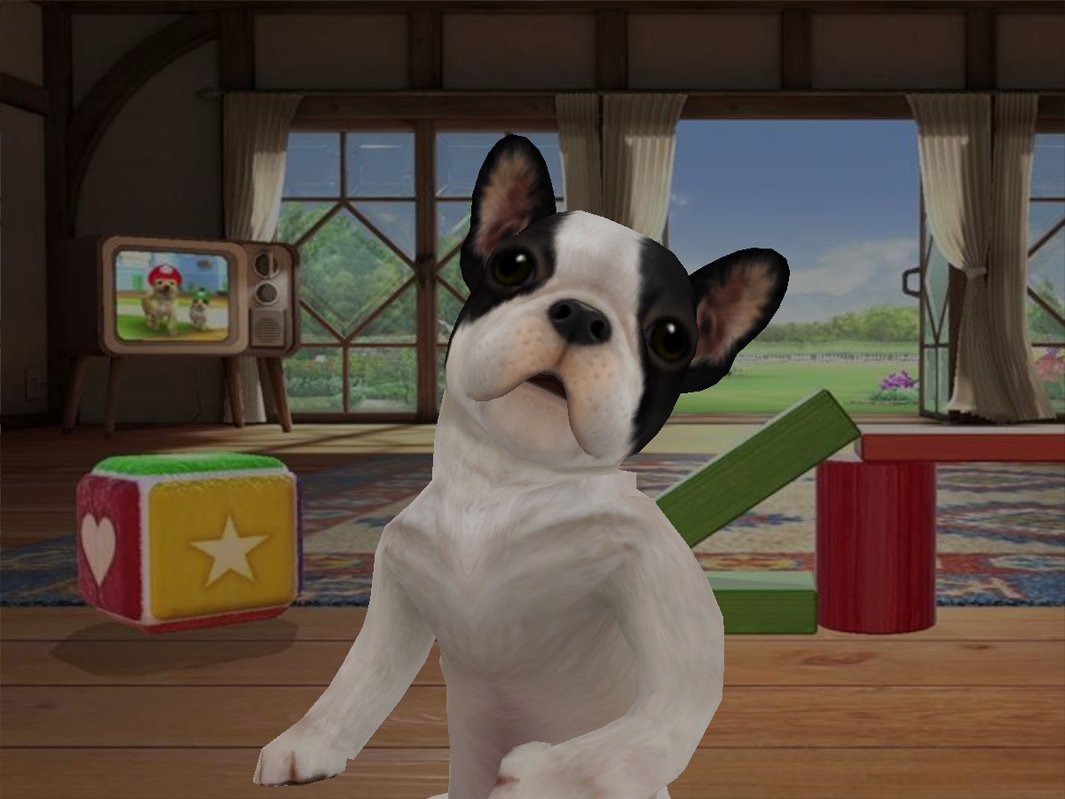 French Bulldog - Nintendog