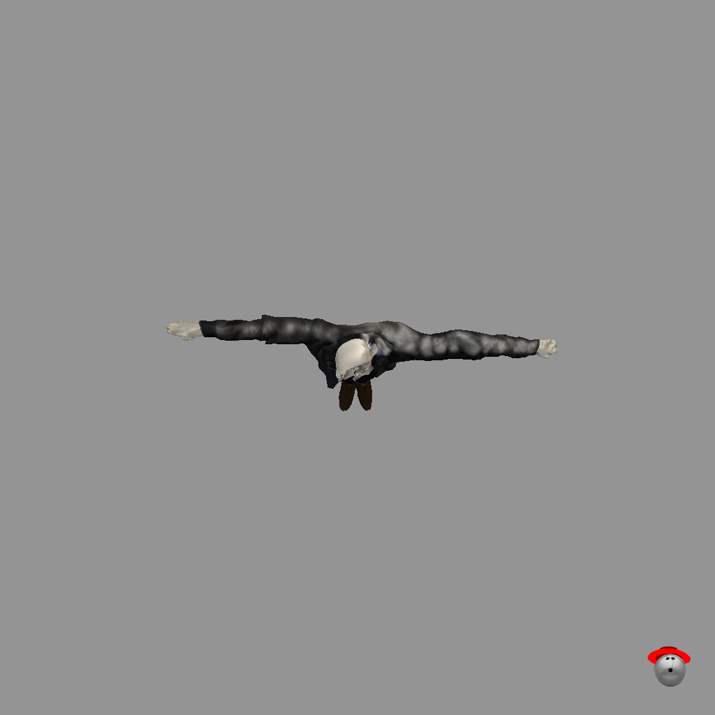The Still Life （Animated） - Straight Top