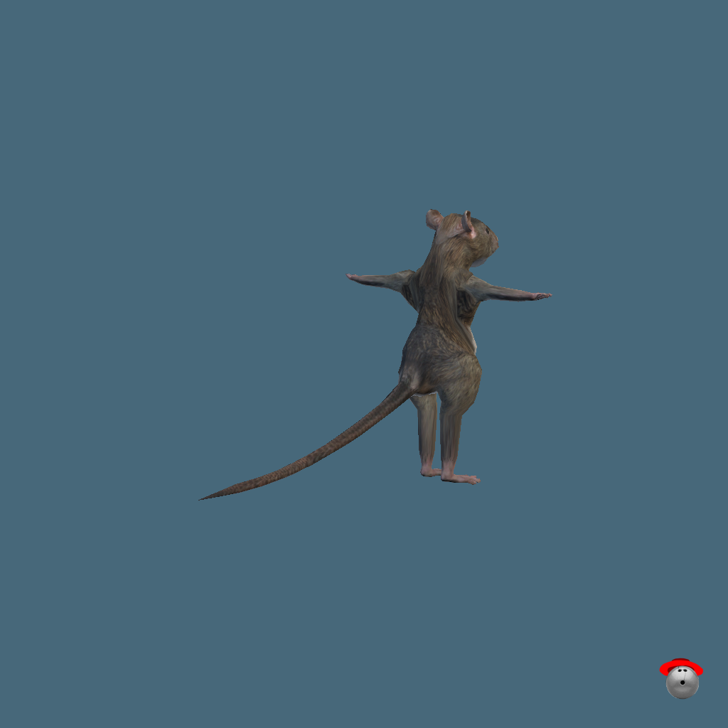 Ratman - Back Right