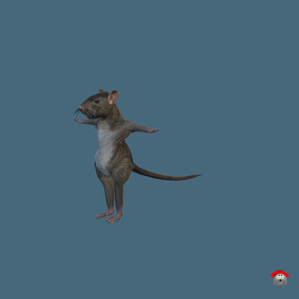 Ratman - Front Left