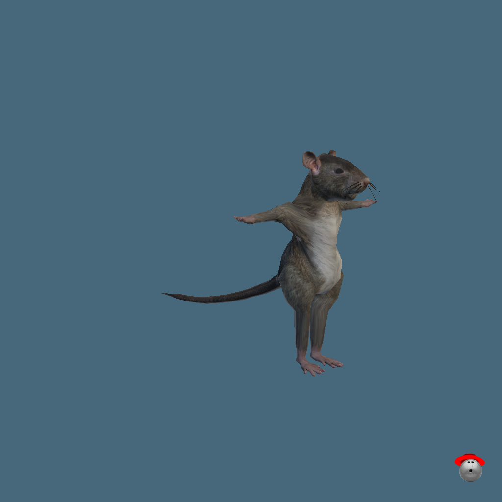 Ratman - Front Right