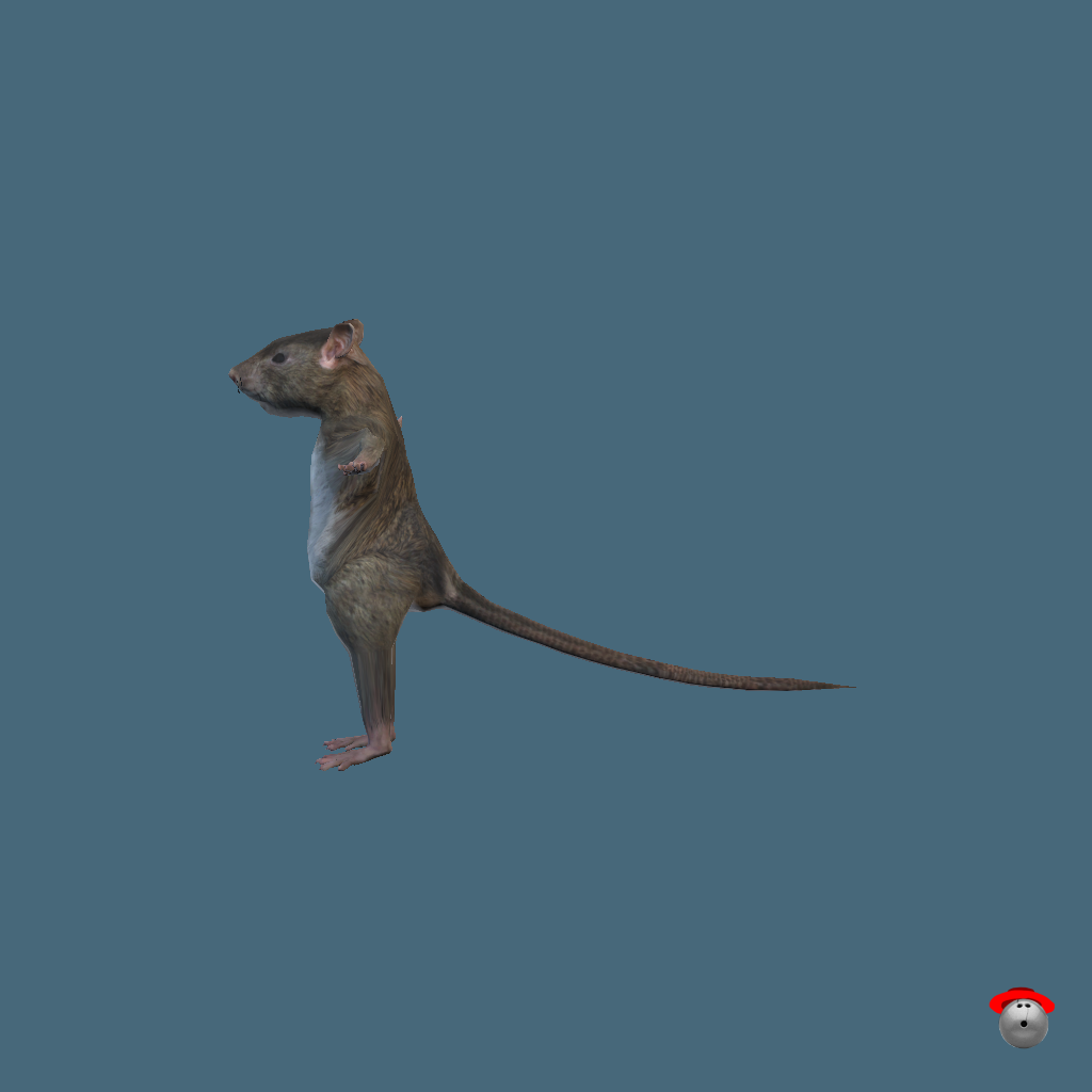 Ratman - Left