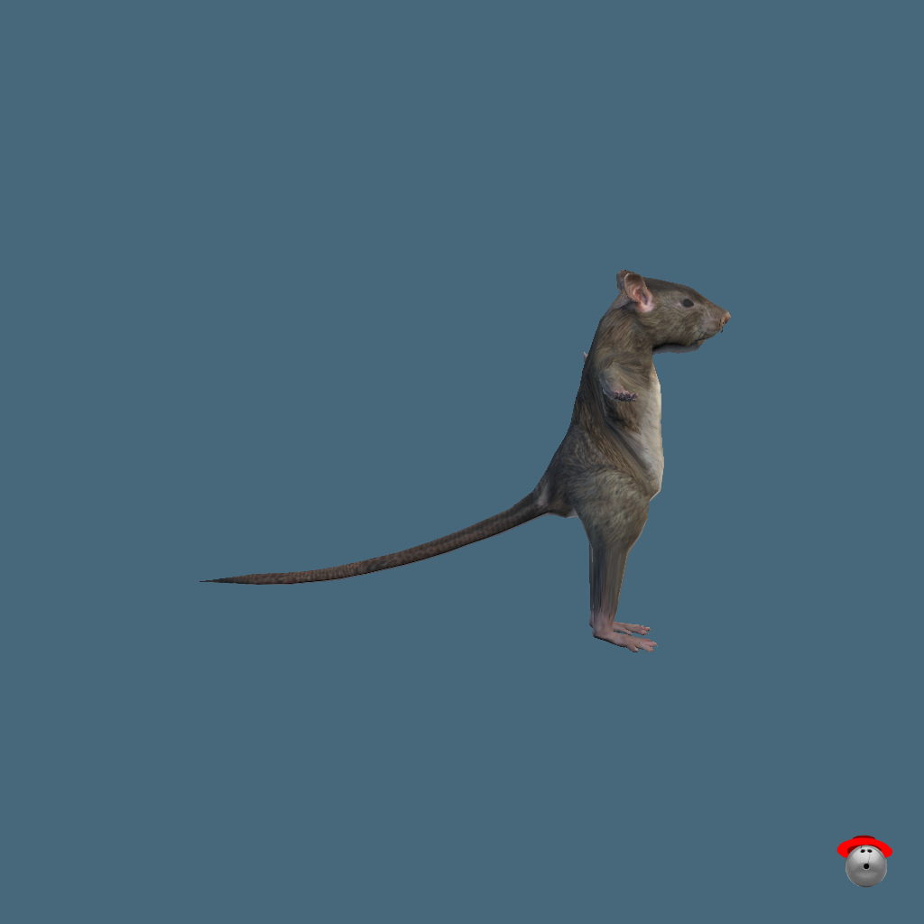Ratman - Right